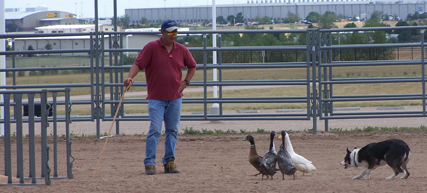 Billy with Ducks